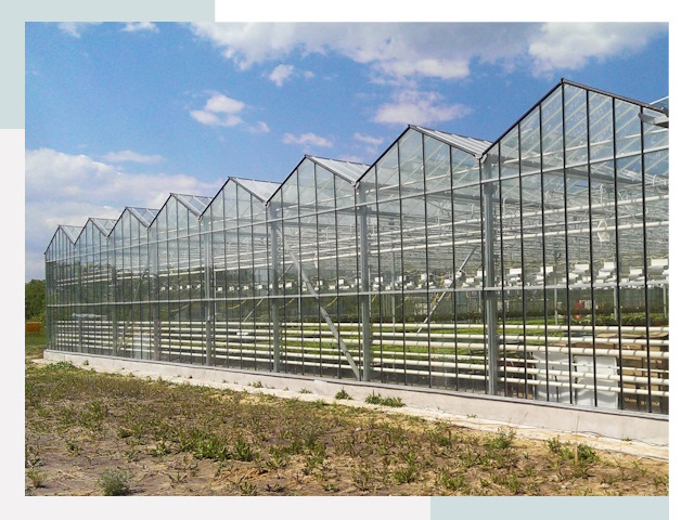Строительство теплиц в Воткинск от 622 руб. за м²